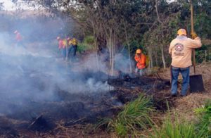 GNYUC Incendio por negligencia en Oxkutzcab -- Protec03